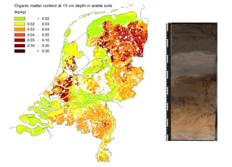 belang-van-bodemorganische-stof-voor-het-waterbeheer-stowa